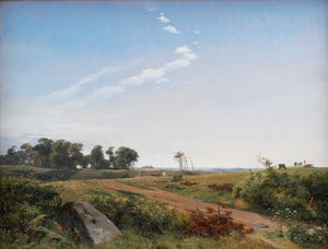 Zealand Landscape. Nyílt vidék Észak-Zélandon alkotó: Johan Lundbye