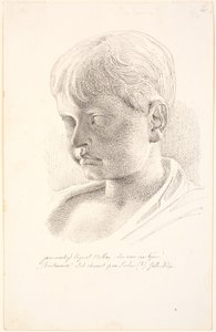A Britannicus vezetője. 3/4 profil balra alkotó: Johan Thomas Lundbye