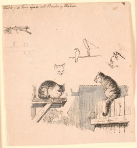 A két macska. F.o. macskafej-, madár-, macskafül- és gerendamunkák tanulmányozása. Illusztráció Kaalund "Fables for Children" című művéhez. Lásd a lapkatalógus megjegyzését. alkotó: Johan Thomas Lundbye
