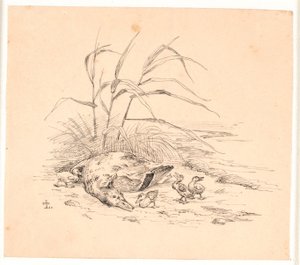 Az elejtett vadkacsa. Illusztráció Kaalund "Fables for Children" című művéhez. Lásd a lapkatalógus megjegyzését. alkotó: Johan Thomas Lundbye
