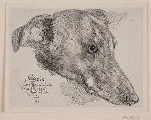 Hundehoved, Snip alkotó: Johan Thomas Lundbye