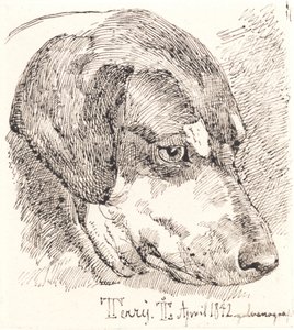 Hundehoved, Terry alkotó: Johan Thomas Lundbye