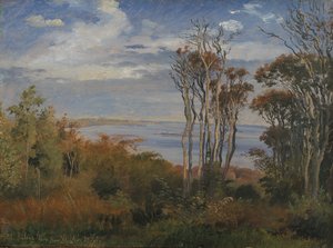 Kolås Wood. Időjárás magas alkotó: Johan Thomas Lundbye
