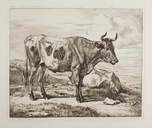 Szarvasmarhák a mezőn alkotó: Johann Adam Klein