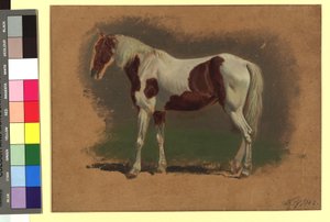 Pferdestudie alkotó: Johann Adam Klein