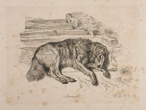 Schweizer, egy kutya alkotó: Johann Adam Klein
