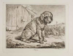 Fripon, az uszkár alkotó: Johann Adam Klein