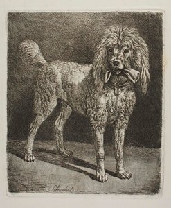 Schwalerl, az uszkár alkotó: Johann Adam Klein