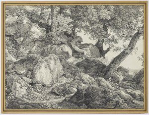 A Palazzo Chigi parkjában, Ariccia államban, 1818 (grafit és fekete kréta fektetett papíron) alkotó: Johann Christian Reinhardt
