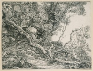 Fák egy sziklás lejtőn alkotó: Johann Christian Reinhart
