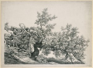 Fatanulmány. Kidőlt törzs szabadon lévő gyökerekkel alkotó: Johann Christian Reinhart