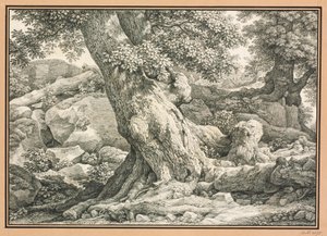 Fatanulmány sziklás terepen alkotó: Johann Christian Reinhart