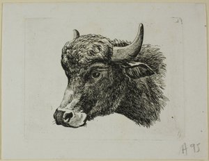 Buffalo fej balra néz, a Die Zweite Thier Folge-tól