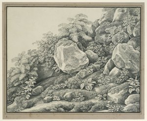 Előtértanulmány: sziklák, bokrok, páfrányok és lomblevelű növények alkotó: Johann Christian Reinhart