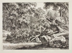 Erdői jelenet törött tölgyfával alkotó: Johann Christian Reinhart