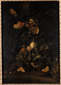 Virágok pillangóval és varangygal (olaj tölgyfára) alkotó: Johann Christian Thomas Winck