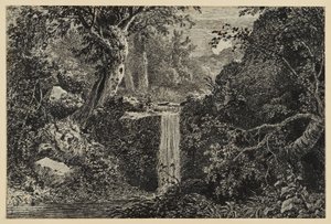 Vízesés az erdőben alkotó: Johann Christoph Erhard
