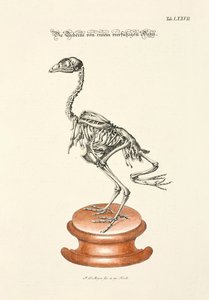  alkotó: Johann Daniel Meyer