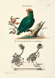  alkotó: Johann Daniel Meyer