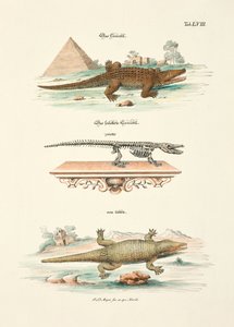  alkotó: Johann Daniel Meyer