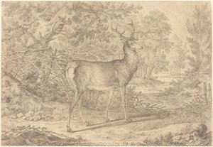 Pompás fiatal szarvas vesszőfonatú kerítés előtt alkotó: Johann Elias Ridinger