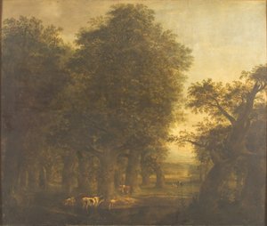 Tölgyfa alkotó: Johann Friedrich Weitsch