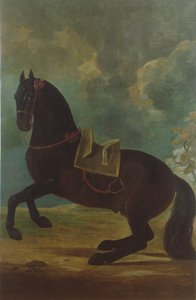 A Bay Stallion spanyol nyereggel