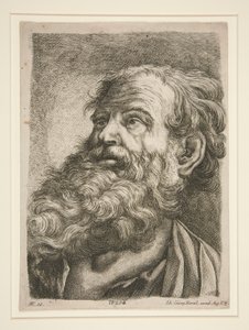 Férfi fej (egy apostolé?) alkotó: Johann Georg Hertel