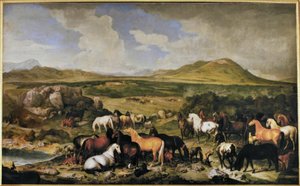 Johann Georg de Hamilton / Lipicai alkotó: Johann Georg de Hamilton