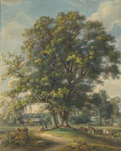 Arcadiában vagyok, 17901800.