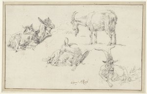 Tanulmányok egy kecskéről alkotó: Johann Heinrich Roos (possibly)
