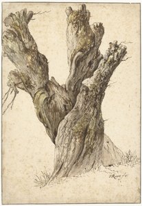 Fejelt fűzfa alkotó: Johann Heinrich Roos