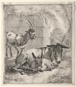 Kecske és szamarak alkotó: Johann Heinrich Roos