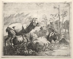 Kecske alkotó: Johann Heinrich Roos