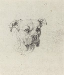 Egy Boxer alkotó: Johann Heinrich Wilhelm Tischbein