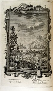 Rézmetszet a 