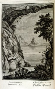 Rézmetszet a 