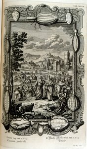 Tetvek és szúnyogok járványa alkotó: Johann Jakob Scheuchzer