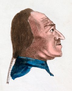 Egy gyors vérmérsékletű ember arcvonásai, 1808