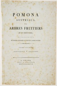 Címlap a „Pomona Austriaca, avagy osztrák gyümölcsfák” című könyvből, 1787-96 (nyomtatás) alkotó: Johann Kraft