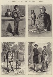 Furcsa vázlatok az Állatkertben alkotó: Johann Nepomuk Schonberg