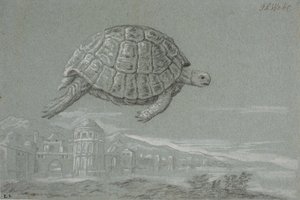 Tanulmány egy teknősről és egy megerősített város kilátásai a tenger mellett (Velence)