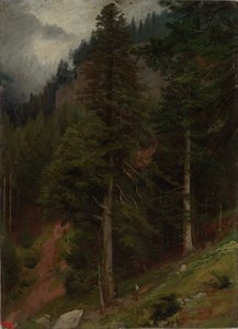 Lejtő a fenyvesben alkotó: Johann Wilhelm Schirmer