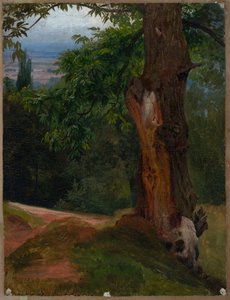 Fatanulmány völgyre nyíló kilátással alkotó: Johann Wilhelm Schirmer