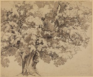 Tölgyfa a Kassel melletti Wilhelmshöhén alkotó: Johann Wilhelm Schirmer