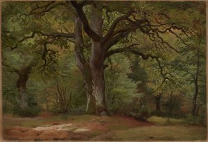 Tölgyerdő a Sollingban alkotó: Johann Wilhelm Schirmer