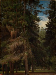 Tisztás a fenyőerdőben alkotó: Johann Wilhelm Schirmer