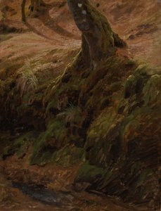 Erdei lejtő fatörzzsel alkotó: Johann Wilhelm Schirmer