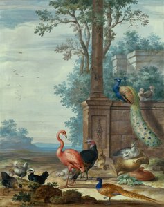 Olasz táj pávával, fácánnal, flamingóval és más tyúkkal (guache) alkotó: Johannes Bronckhorst