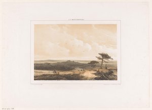 Heathland táj pihenő túrázó és juhász csordával
